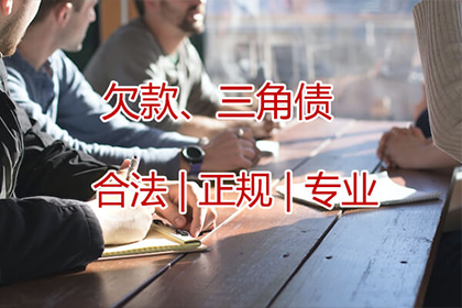 桑植清债公司